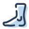 icons8-caviglia-60