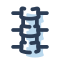 icons8-colonna-vertebrale-60